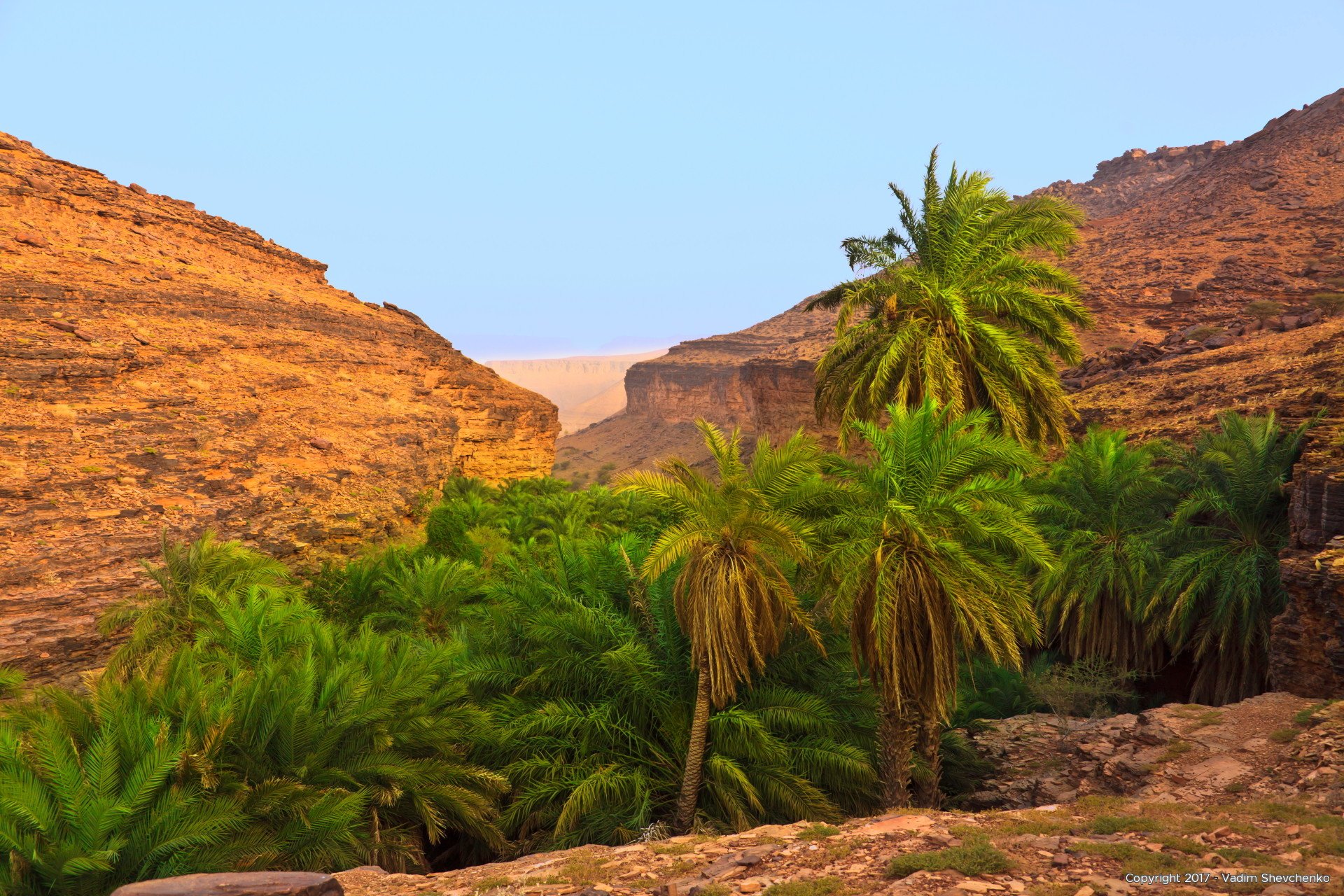 Mauritanian Nature